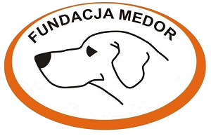 medor-logo-new4
