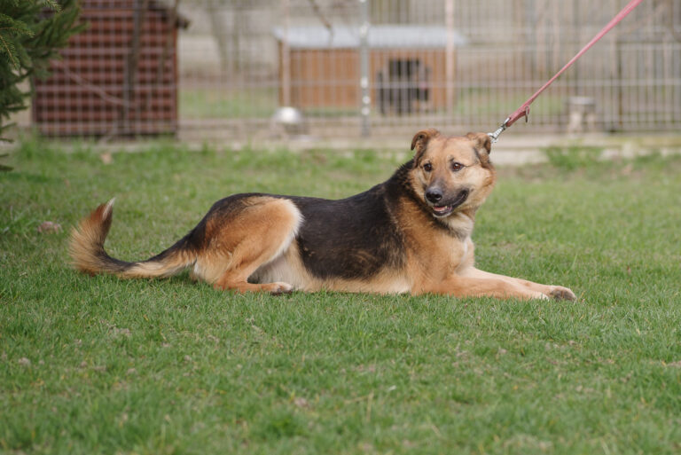 Zosia