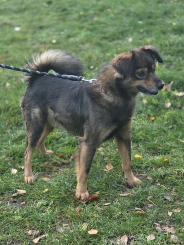 JEST ZIMNO POTRZEBNE DOMY