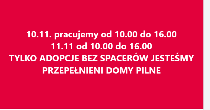 10.11 oraz 11.11 pracujemy sprawdź godziny
