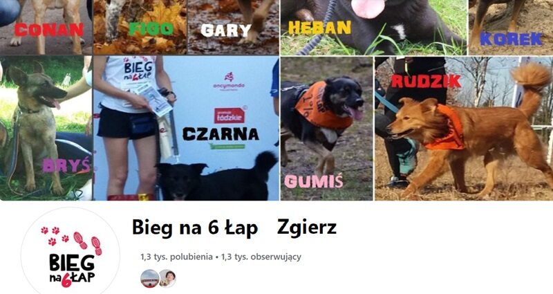 fb-bieg na 6 łap-Zgierz