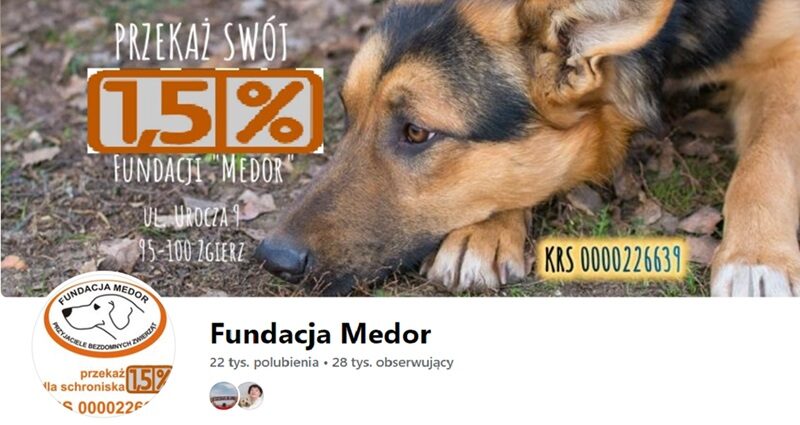 fb-fundacja Medor