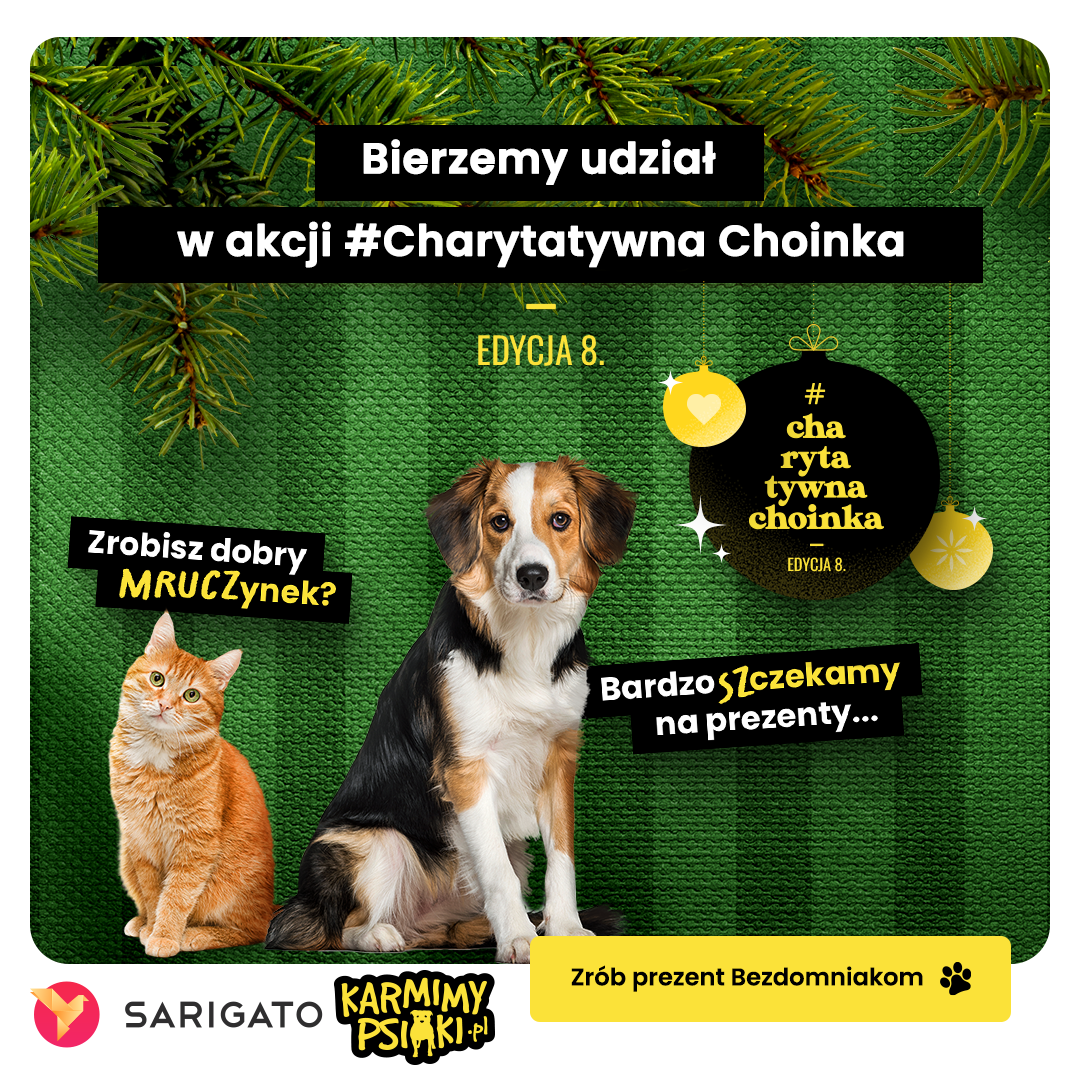 Charytatywna choinka kup prezent wybierz psa/kota prezenty trafią do nas