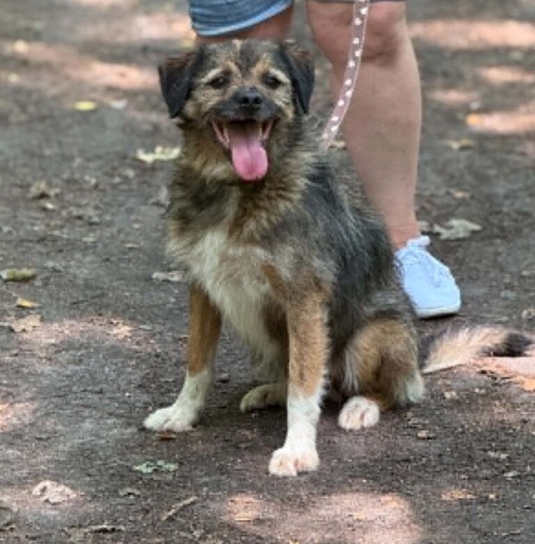 Warkocz