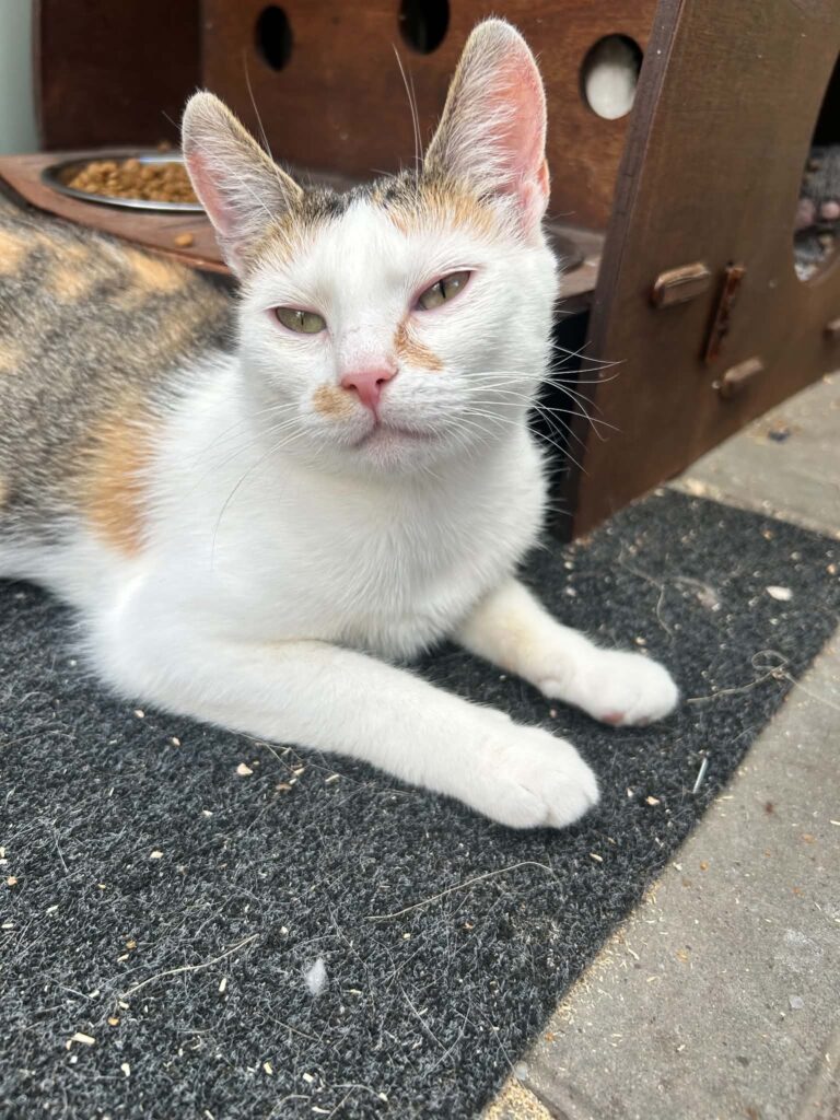 Kira