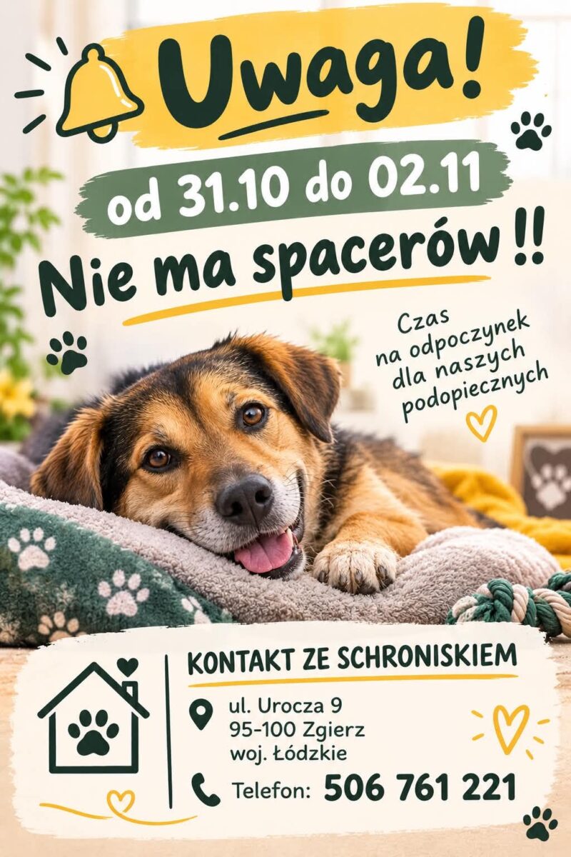 UWAGA ADOPCJE ODBYWAJĄ SIĘ DO SOBOTY !!!!!